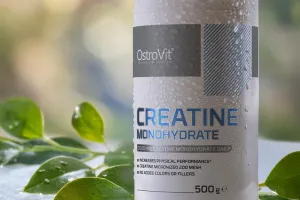 Ostrovit Creatine