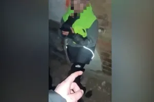 знущання - издевательства
