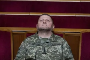 Залужный
