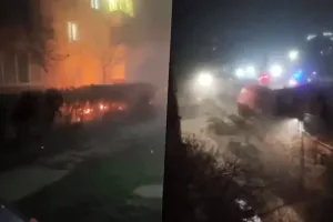 Бавовна