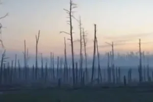 война