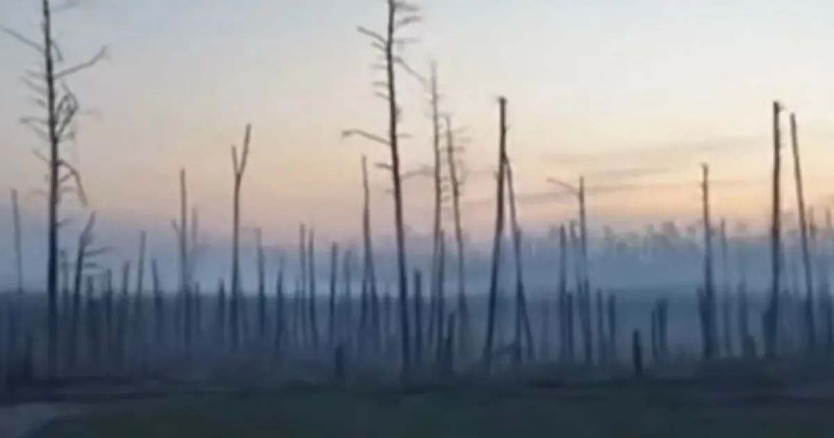 война