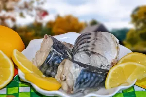 скумбрія - скумбрия
