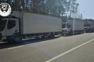 на щиті