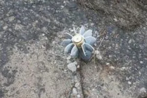 война