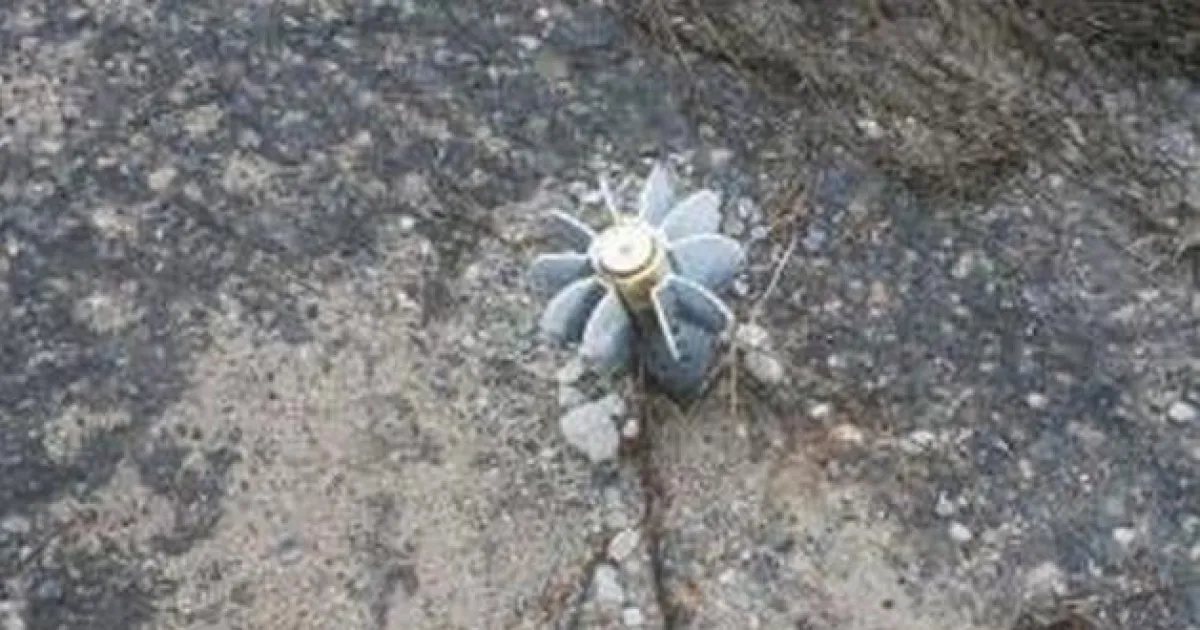 война