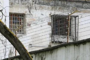СИЗО