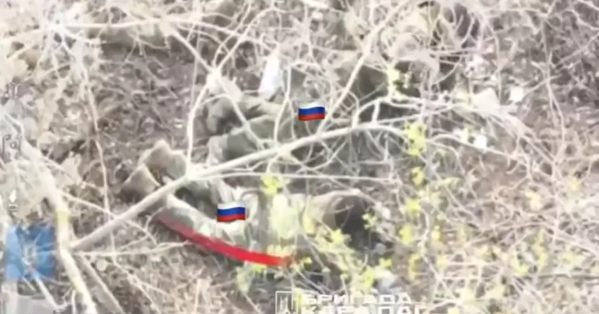 Полон