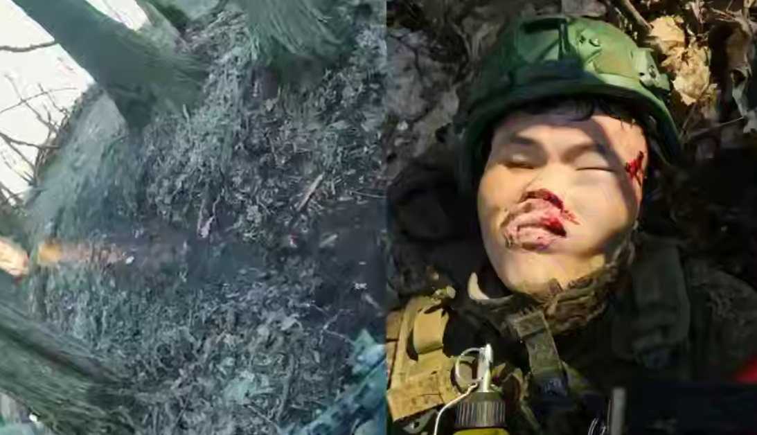 скрін