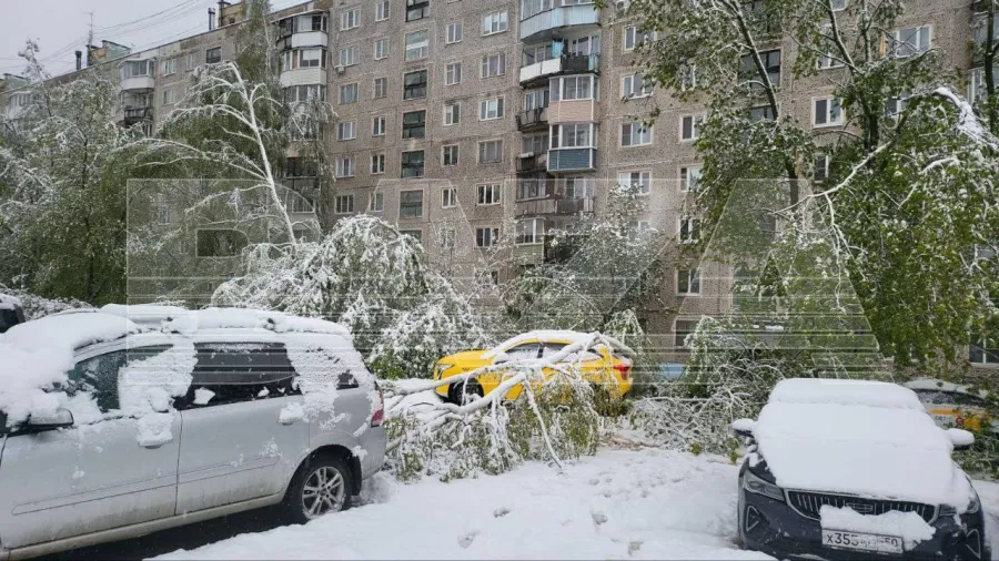 сніг -снег