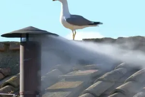 Конклав