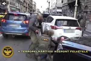 задержание, Венгрия