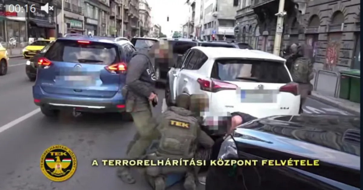 задержание, Венгрия