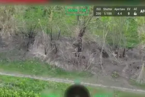 нора оккупантов