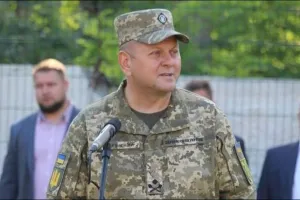 Залужный