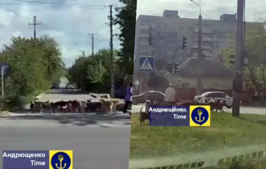 Маріуполь - Мариуполь