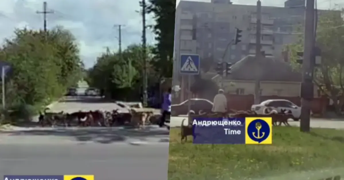 Маріуполь - Мариуполь
