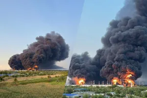 Бавовна в рф