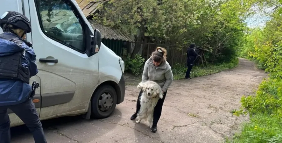 Сумська область - Сумская область