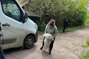 Сумська область - Сумская область