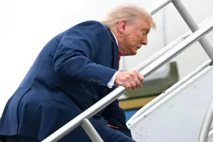 Трамп и трамп
