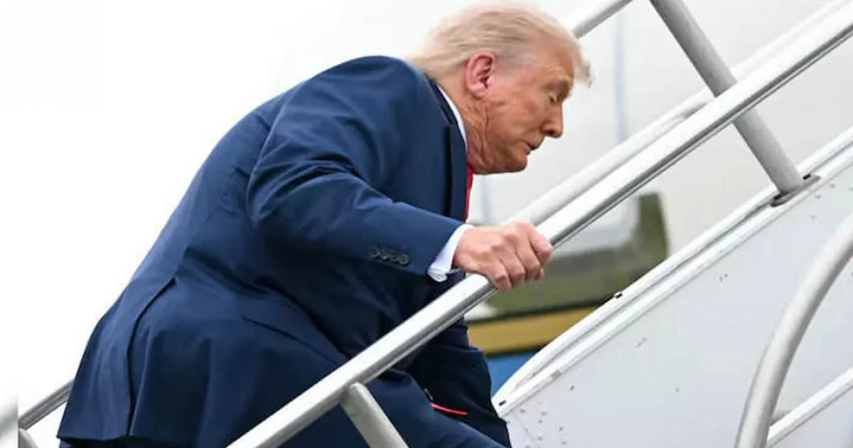 Трамп и трамп