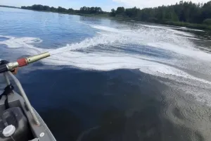 zabrudnennya