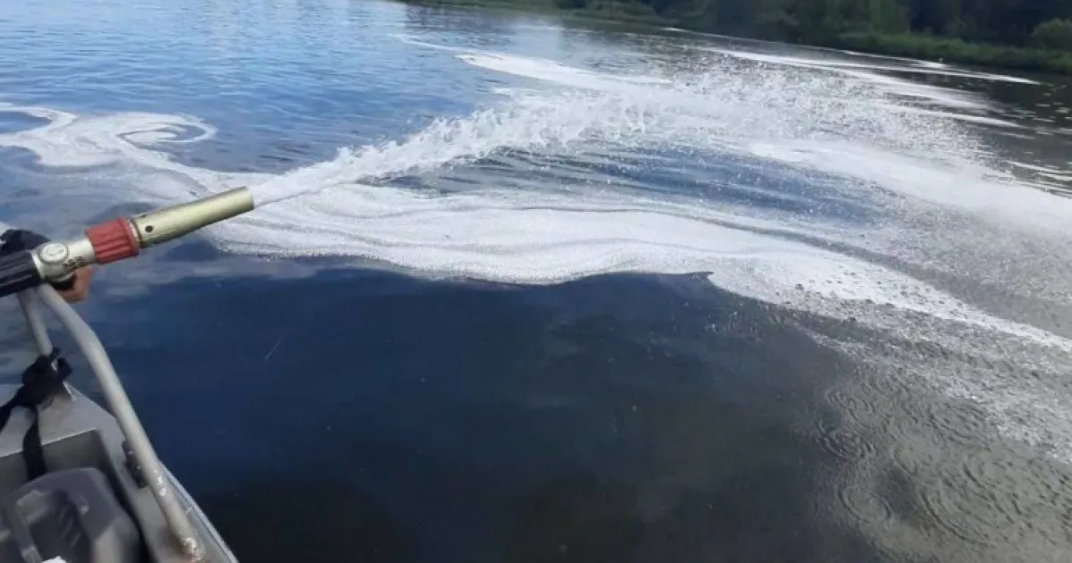 zabrudnennya