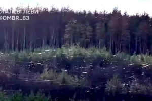 Оптоволокно в лісі - Оптоволокно в лесу