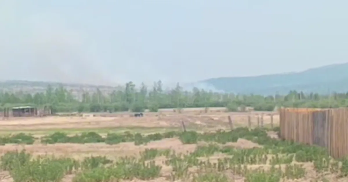vybukh