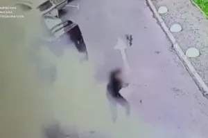 vybukh