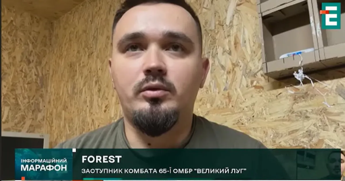 Forest