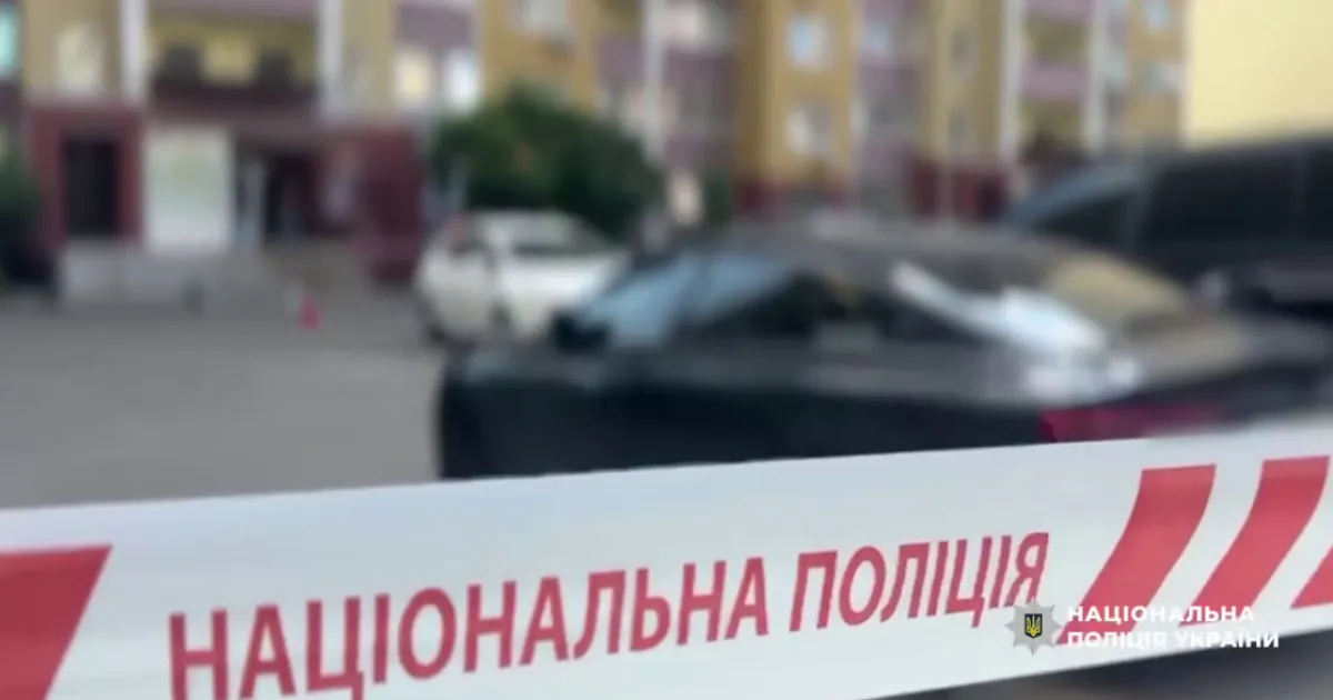 vbyvstvo