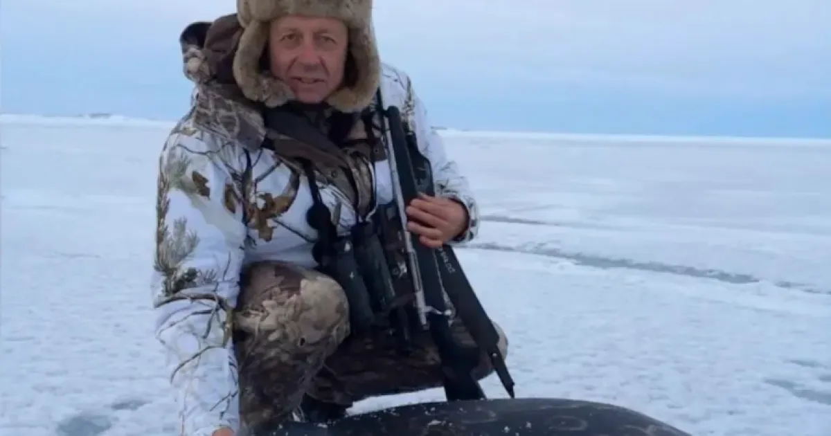Мерц, фейк