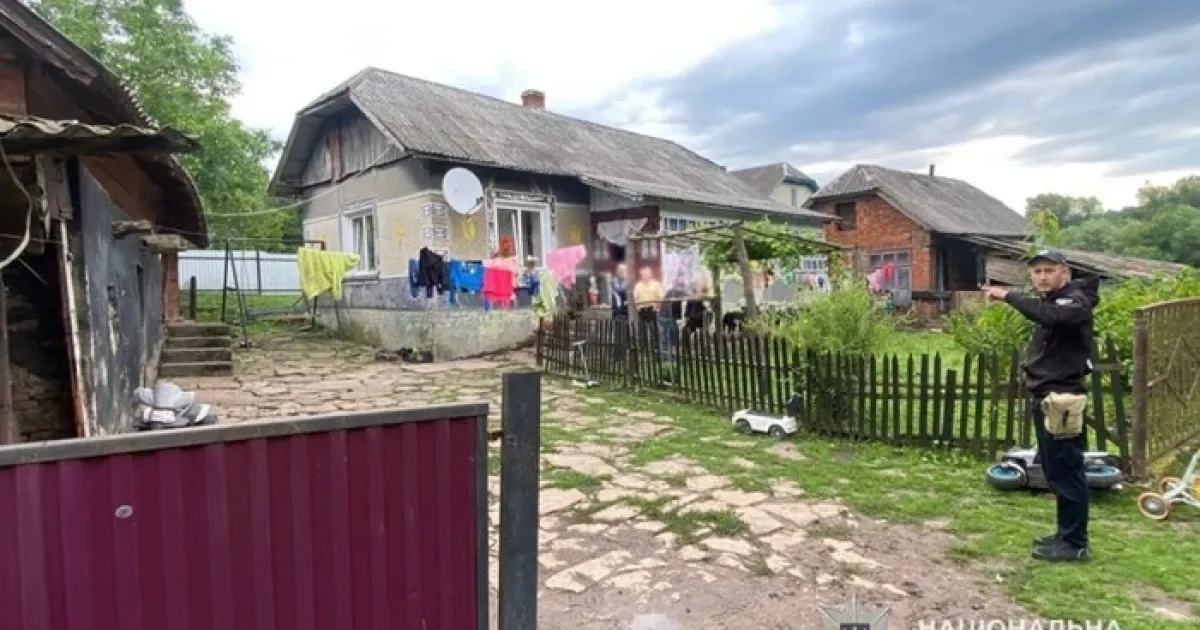 vbyvstvo