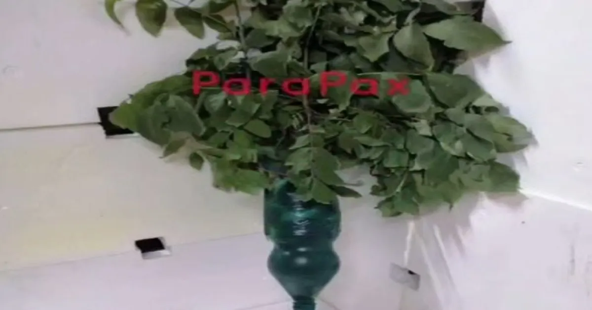 смертельный букет