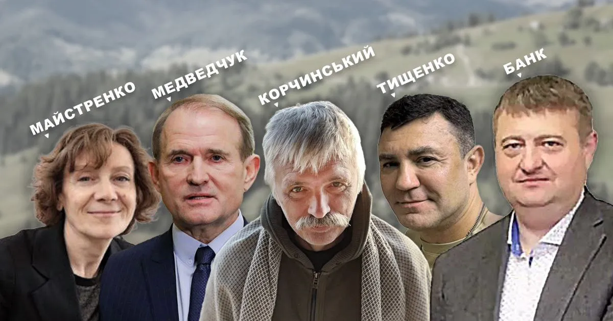 синдикат псевдоекологів гальмує розвиток вітроенергетики на Закарпатті