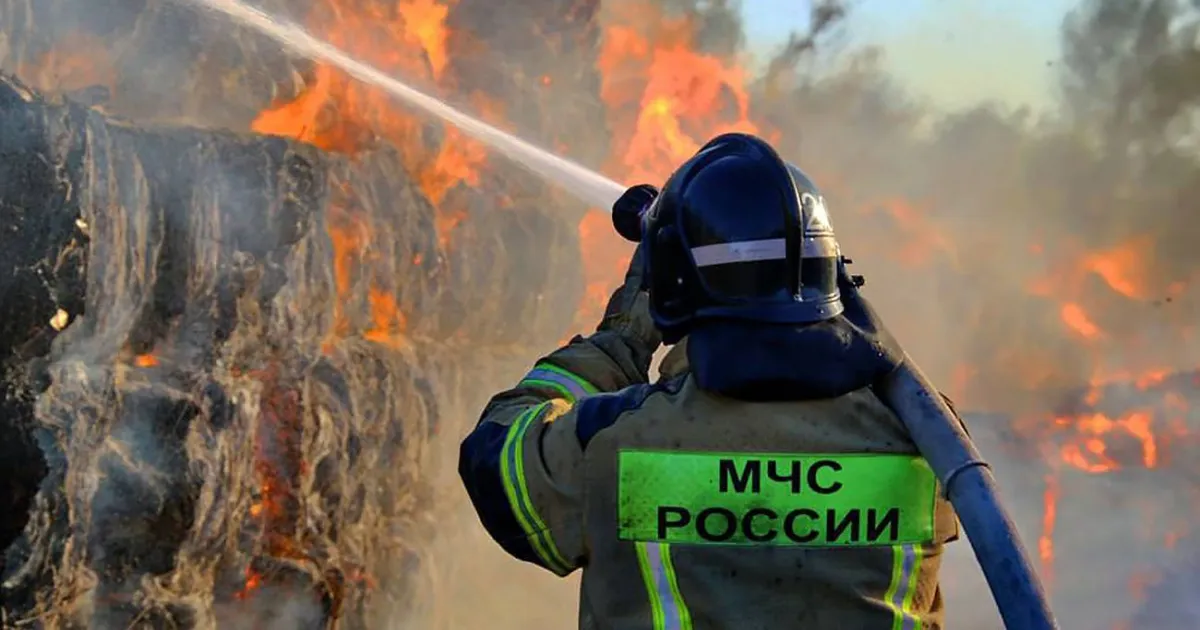 Бавовна в рф