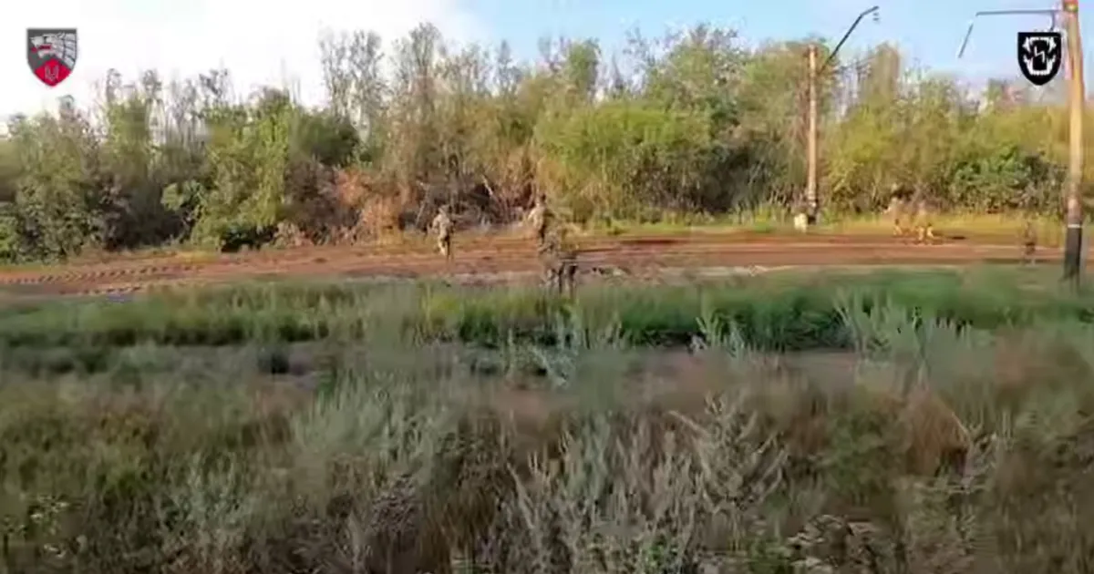 бой, посадка