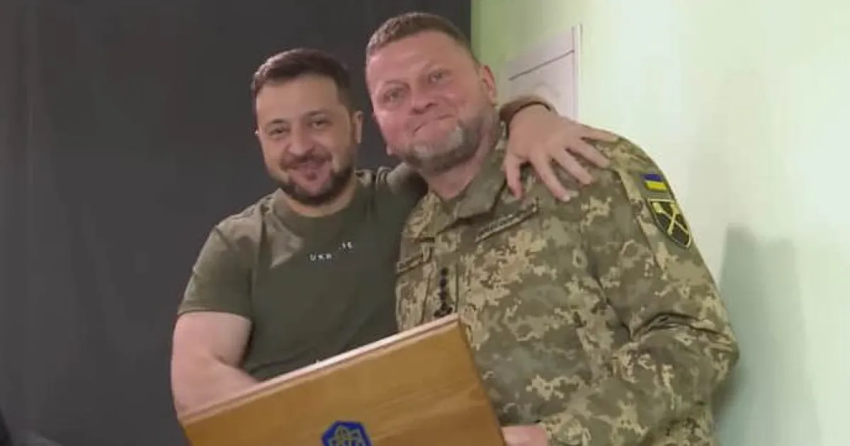 Зеленский, Залужный