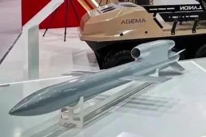 крылатая ракета Фламинго