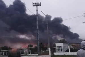 Бавовна
