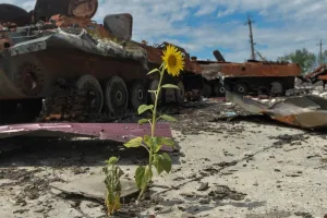 война в Украине