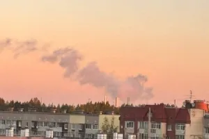 Бавовна
