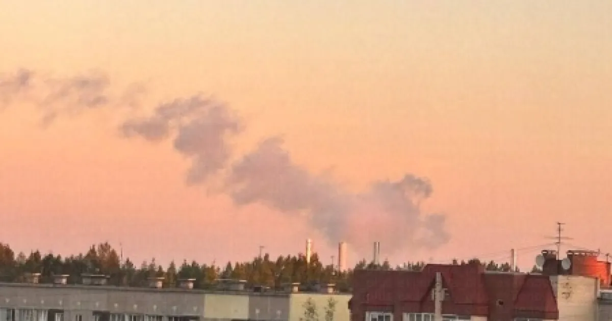 Бавовна