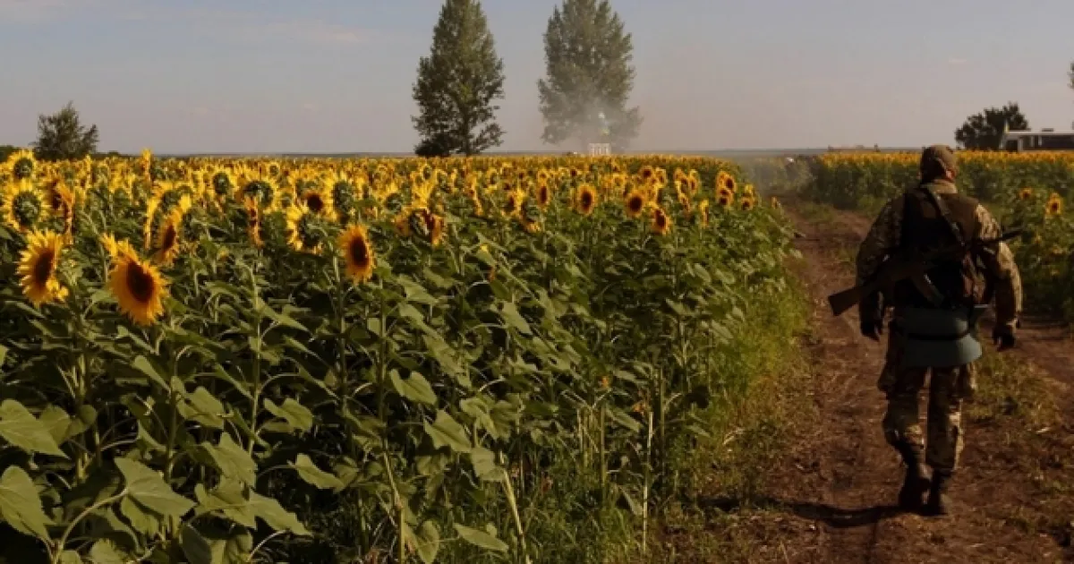 война в Украине