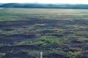 поле боя
