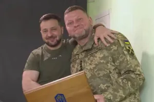 Зеленский, Залужный