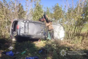 dtp