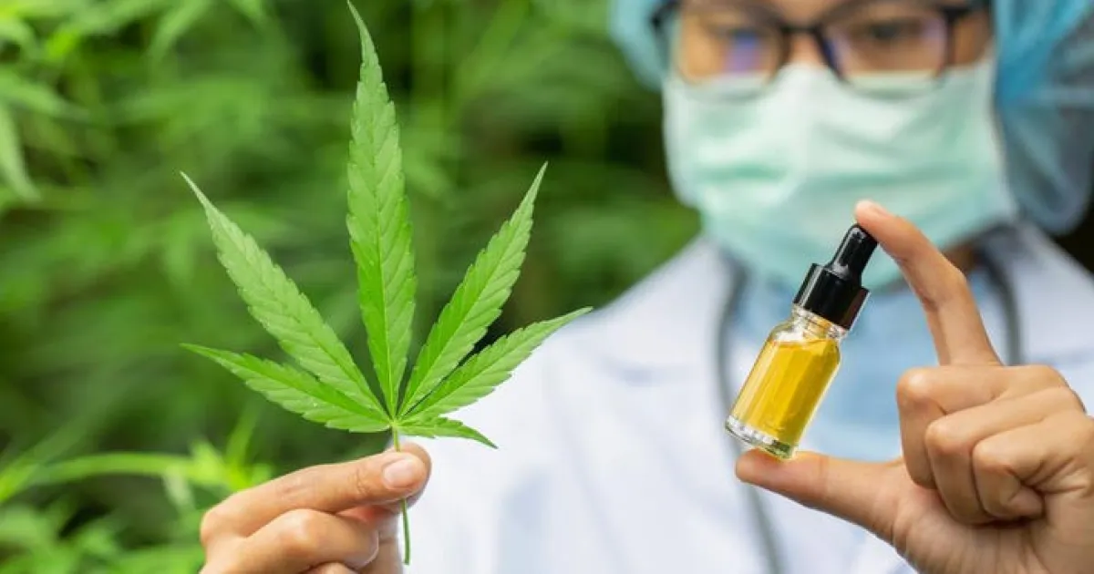 CBD продукты